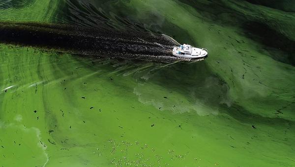 Florida’s harmful algal blooms are dangerous to humans | Opinion