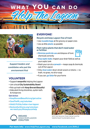 What You Can Do - Help The Lagoon Postcard