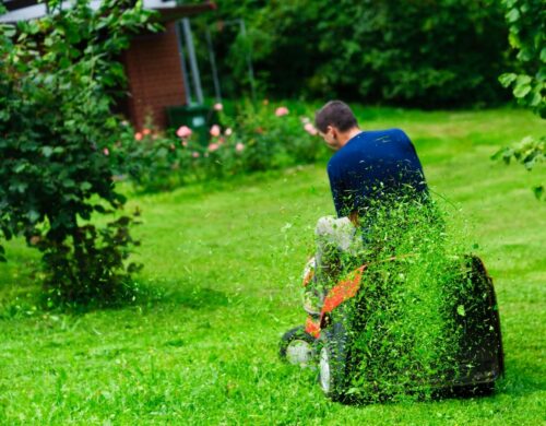 Nine harmful gardening practices for the Indian River Lagoon