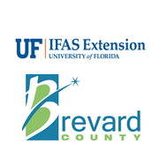 University of Florida logo