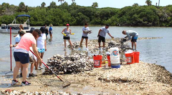 Brevard Zoo Completes Largest Living Shoreline Yet