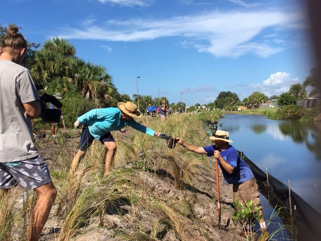 Living Shoreline