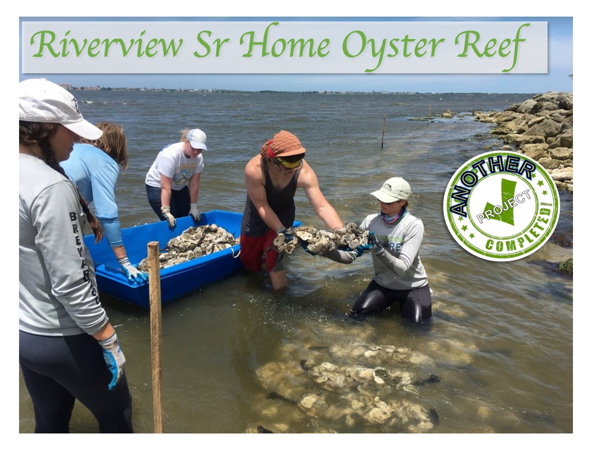 Riverview Senior Home Oyster Reef project