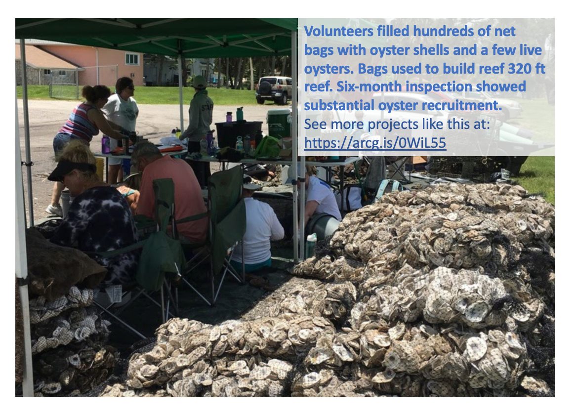 Riverview Senior Home Oyster Reef project