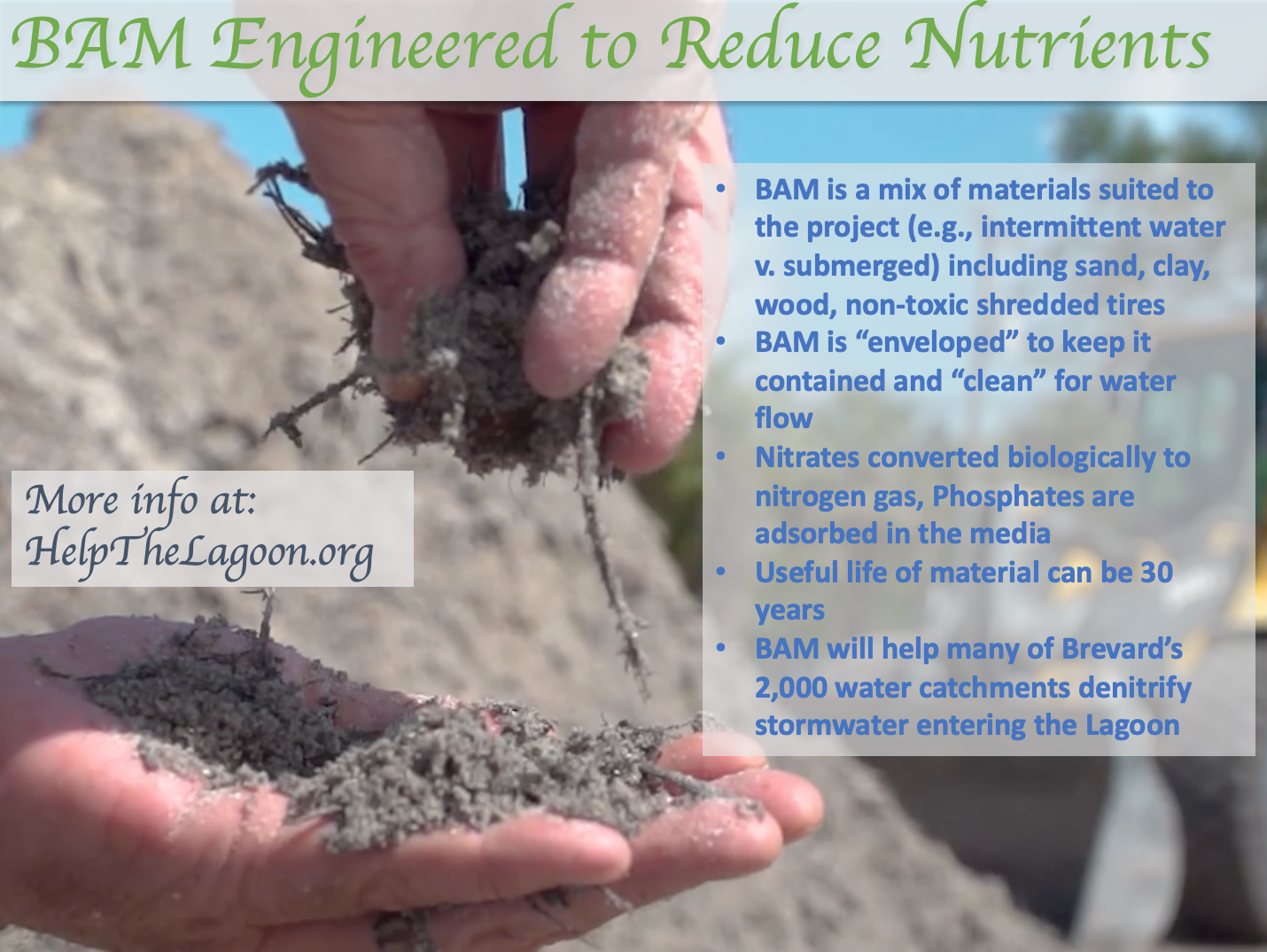 BAM engineered to reduce Nutrients