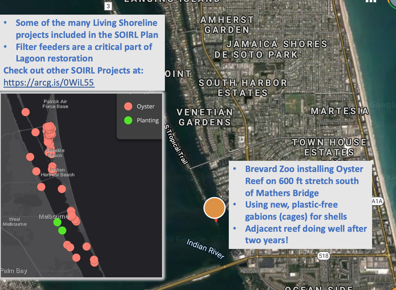 Dragon Point Oyster Reef project