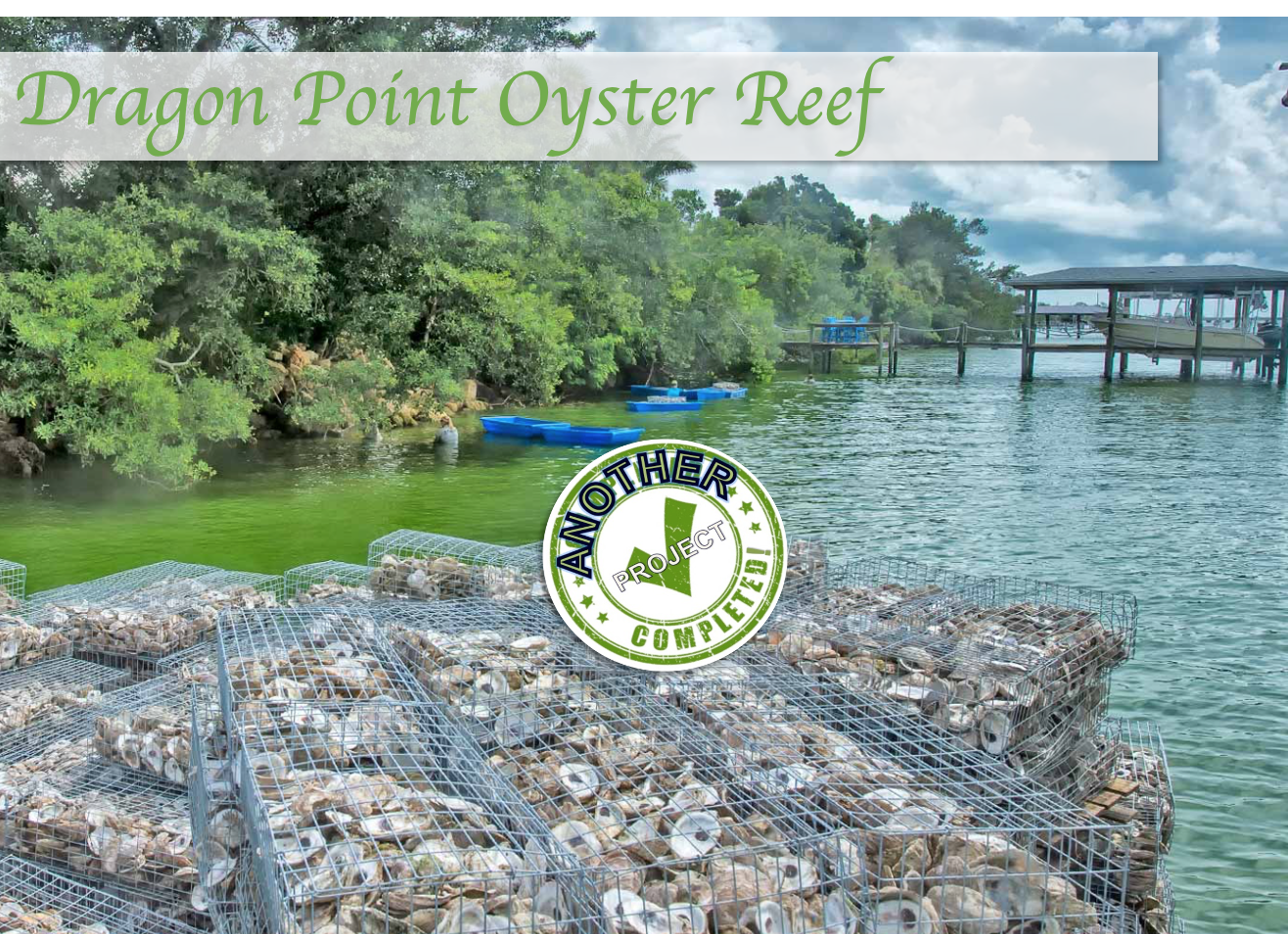 Dragon Point Oyster Reef project