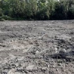 Earthjustice sues on behalf of conservation groups to stop EPA rubber-stamping Florida wetlands destruction