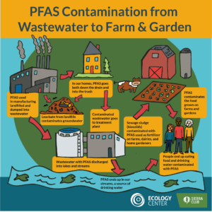 PFAS contamination graphic