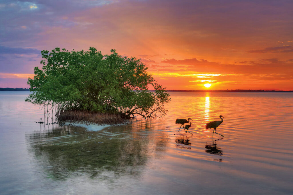 Photo of the Lagoon at sunrise, Courtesy J Whitcar