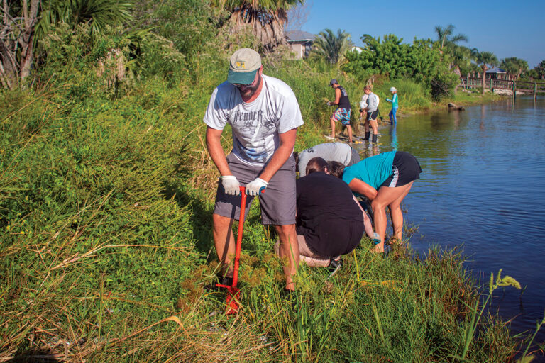 Projects And Plans > Brevard Indian River Lagoon Coalition