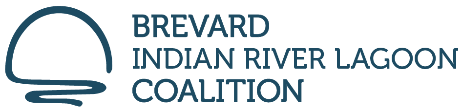 Donate to the Brevard Indian River Lagoon Coalition