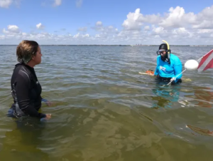 Environmental scientists Lauren Hall and Lori Morris, St Johns Water Management District, in the Indian River Lagoon searching for seagrass