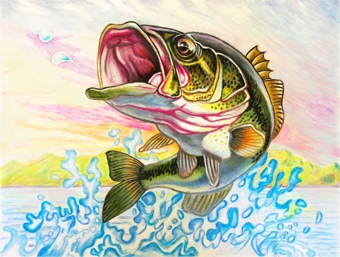 Florida Fish and Wildlife Student Fish Art Contest