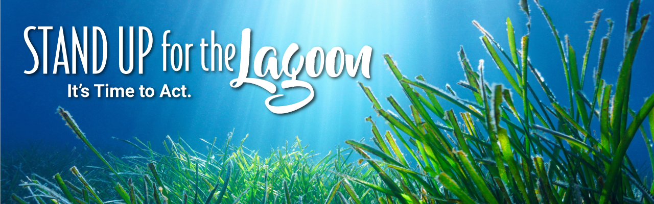 Header_Image_SeaGrass_Text