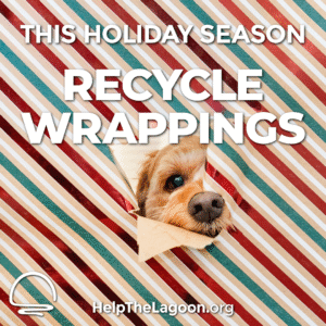 Recycle Wrappings