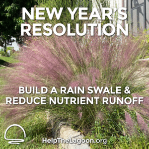 Build a swale and reduce runoff