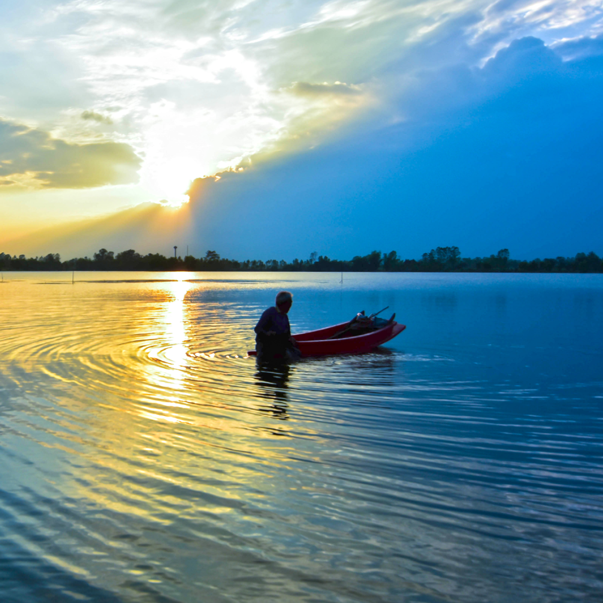 The Indian River Lagoon Is Healing