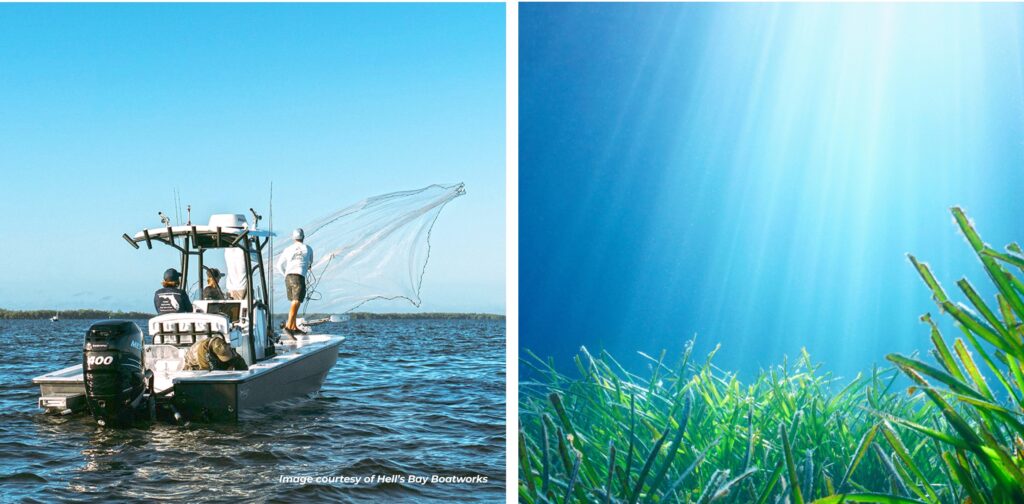 fisherman and seagrass