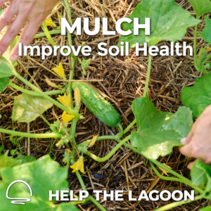 Mulch Improve Soil Health