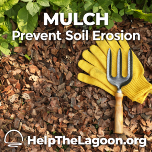 Mulch Prevent Soil Erosion