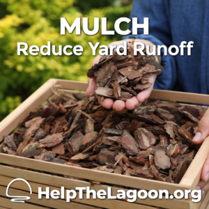 Mulch Reduce Yard Runoff