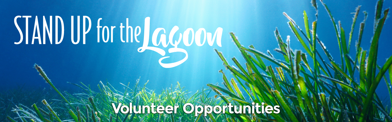 Stand Up for the Lagoon
