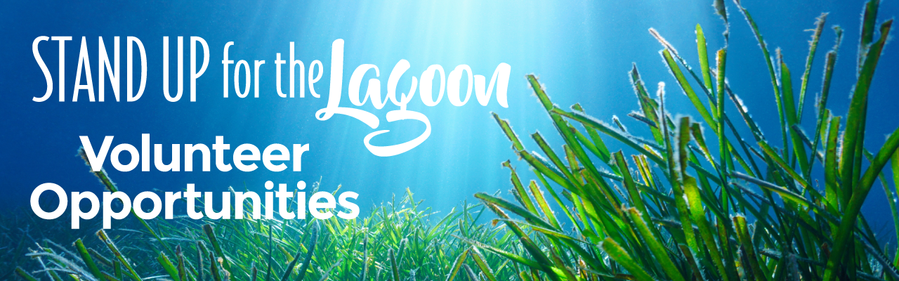 Stand Up for the Lagoon Volunteer Opportunities