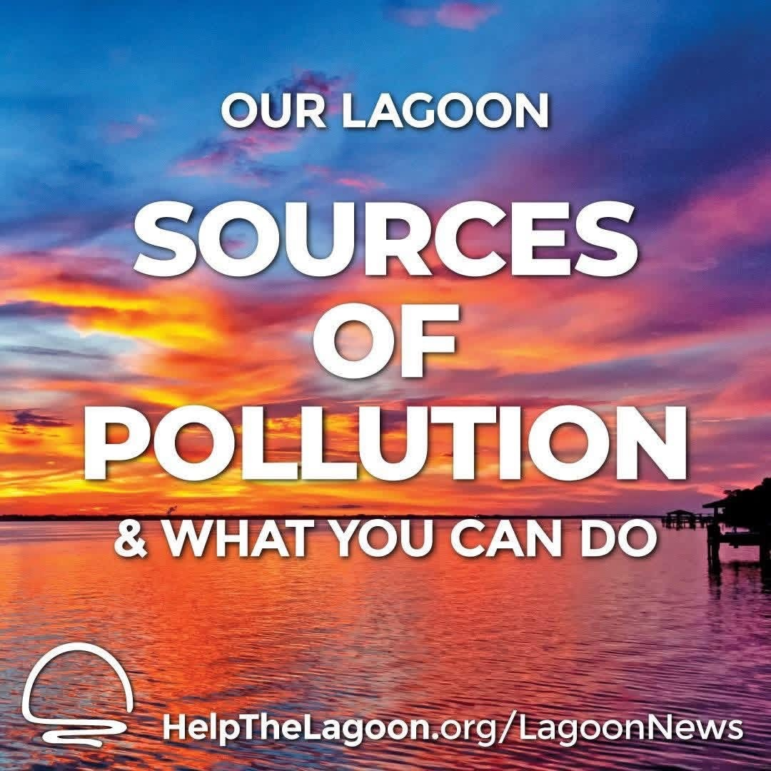 Sources of Pollution & What You Can Do