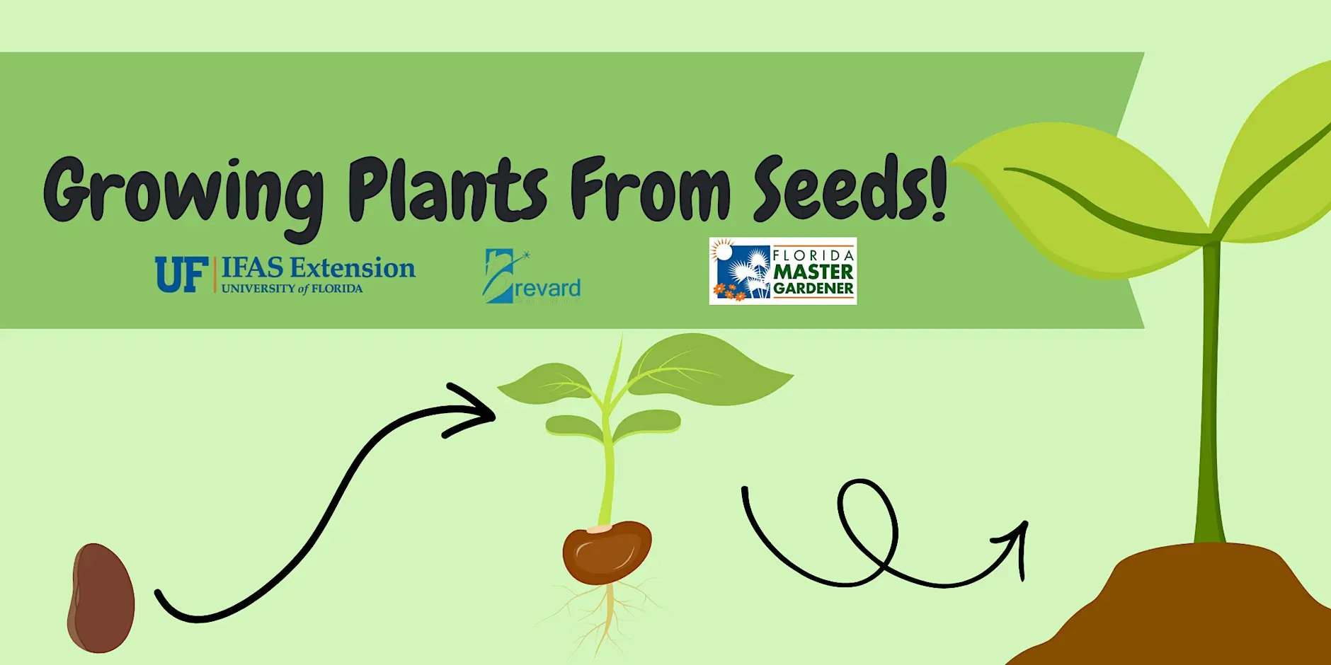 Growing Plants from Seeds