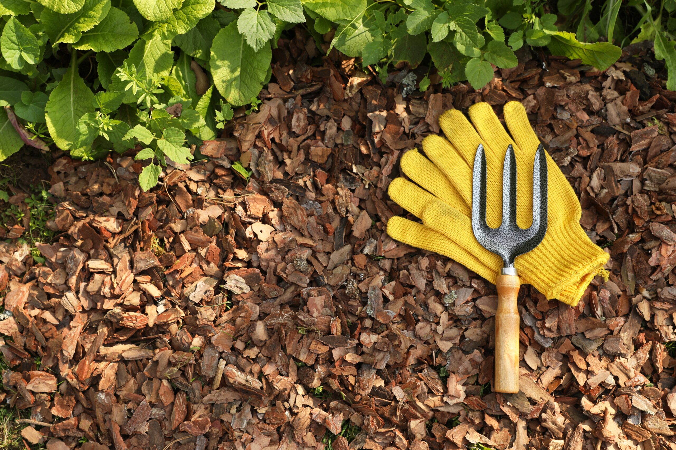 Mulch Ado About Something