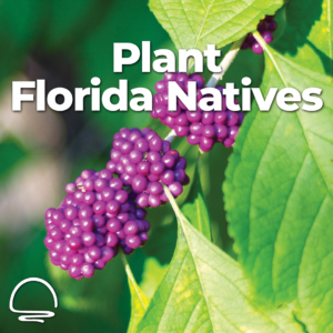 Plant Florida Natives