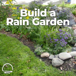 Build A Rain Garden