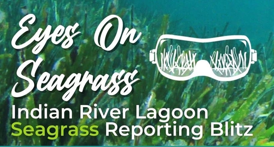 Calling all Seagrass lovers!?! (That’s YOU)