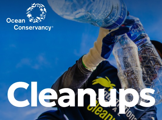 International Coastal Cleanup
